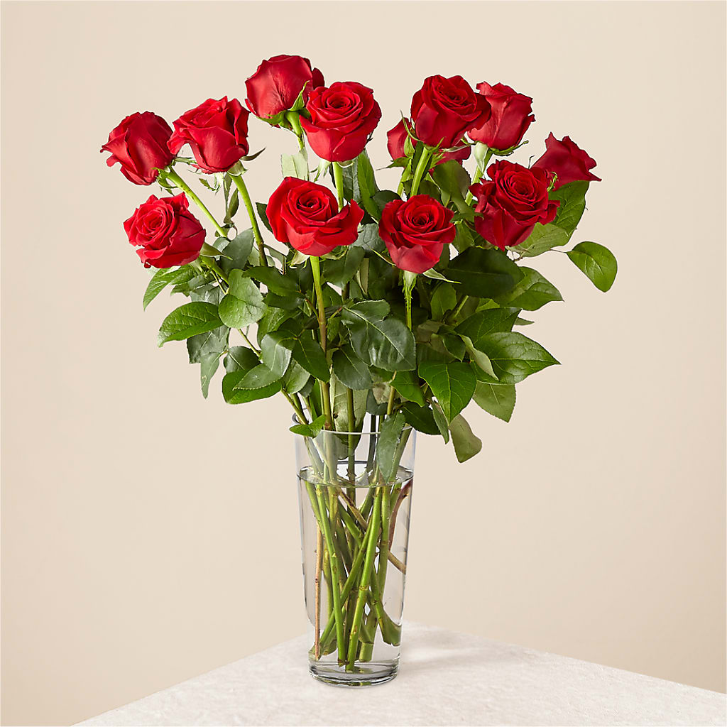 Long Stem Red Rose Bouquet – Columbia Florist, Bronx NY