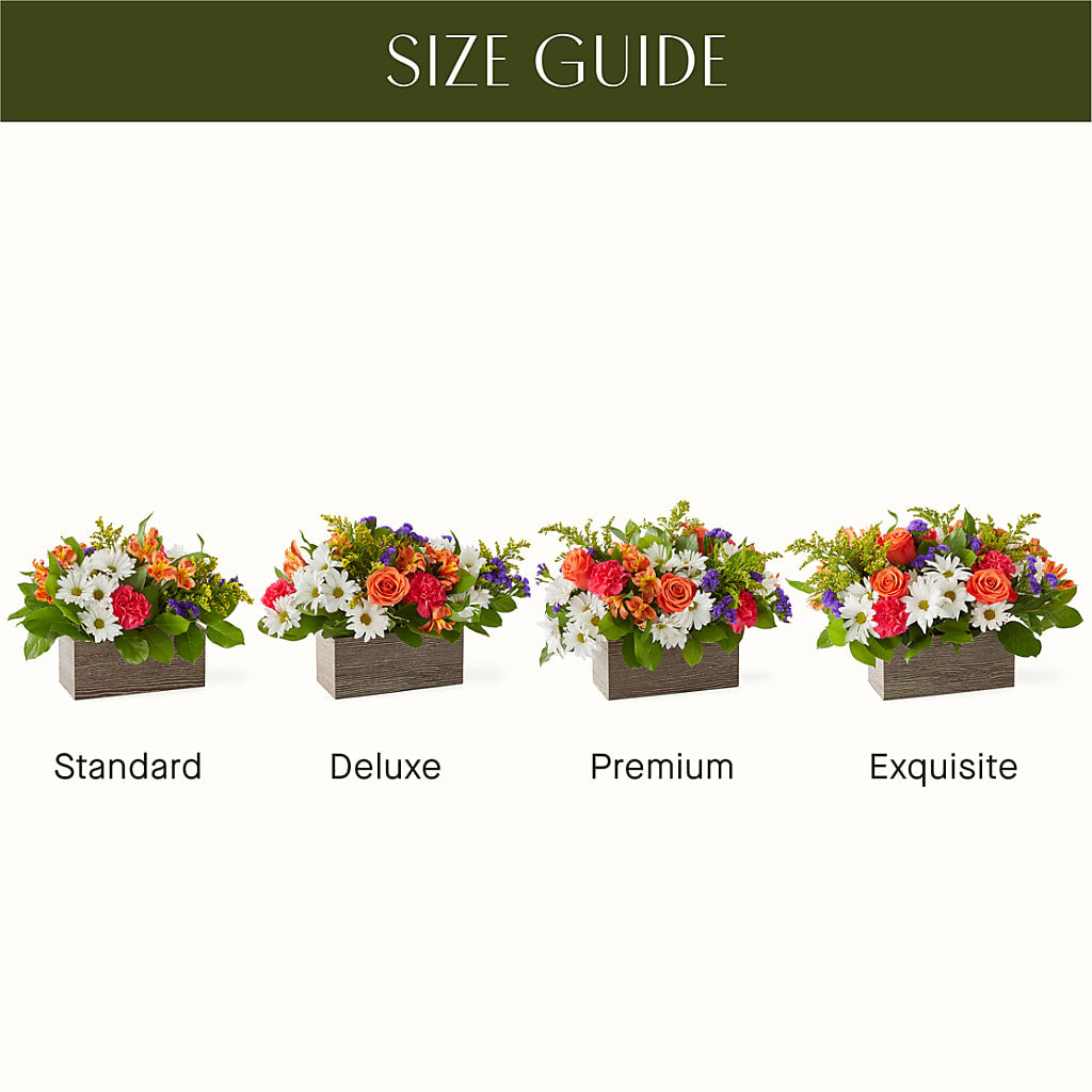 Oopsie Daisy Box Bouquet – Columbia Florist, Bronx NY