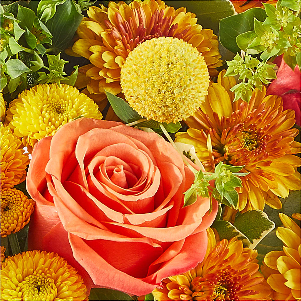 Gourdgeous Pumpkin –  Columbia Florist, Bronx NY