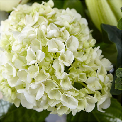 Classic Ivory – A Florist Original –  Columbia Florist, Bronx NY
