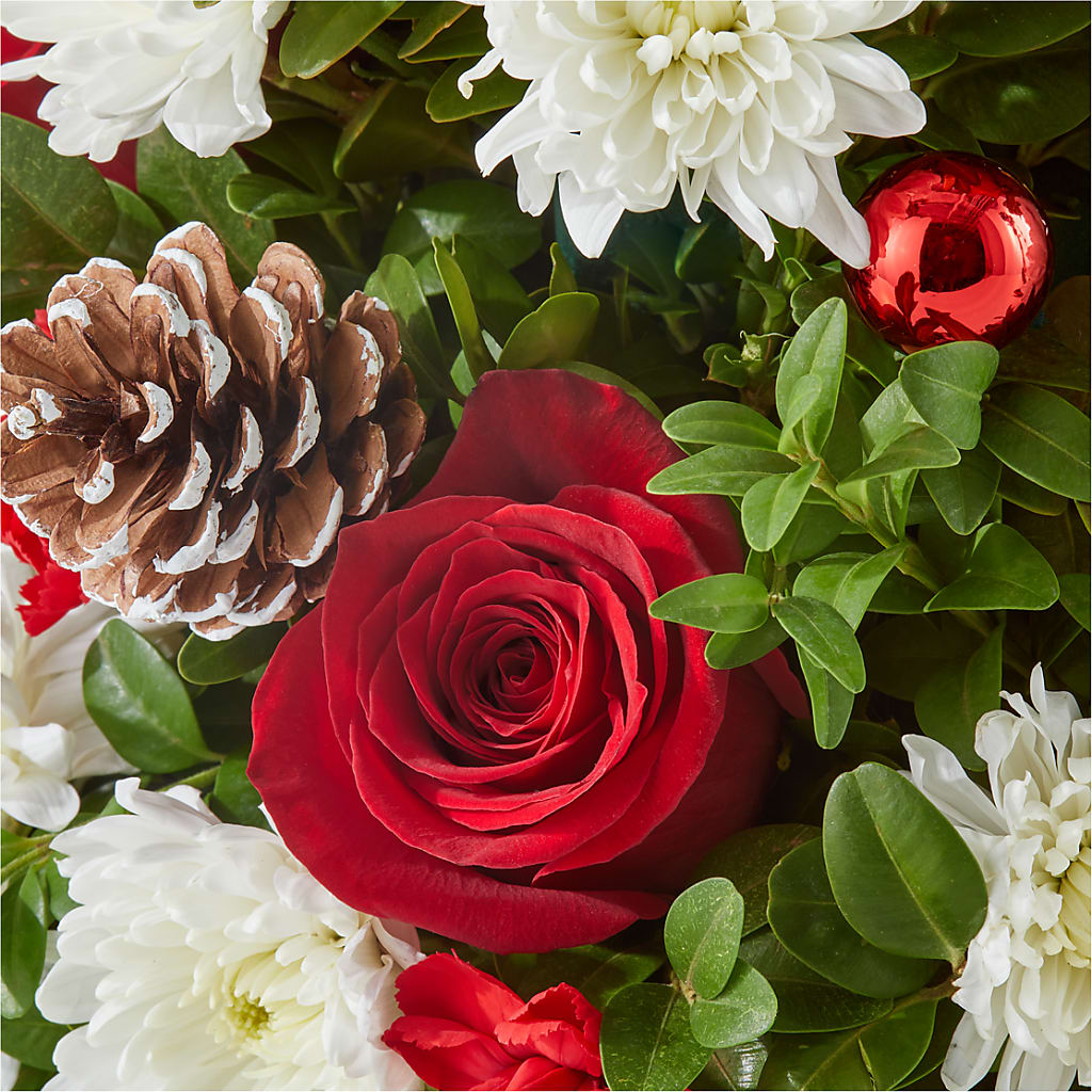 Let It Snow Tree –  Columbia Florist, Bronx NY