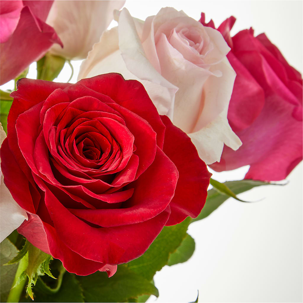Charming Rose Bouquet –  Columbia Florist, Bronx NY