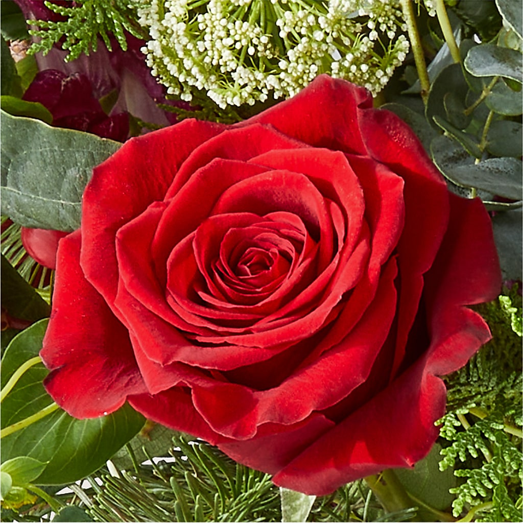 Cranberry Fizz Bouquet –  Columbia Florist, Bronx NY