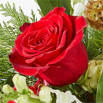 Deck the Halls Bouquet –  Columbia Florist, Bronx NY