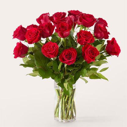 The One Red Rose Bouquet –  Columbia Florist, Bronx NY
