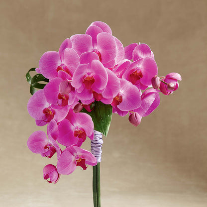 Glorious Bouquet –  Columbia Florist, Bronx NY